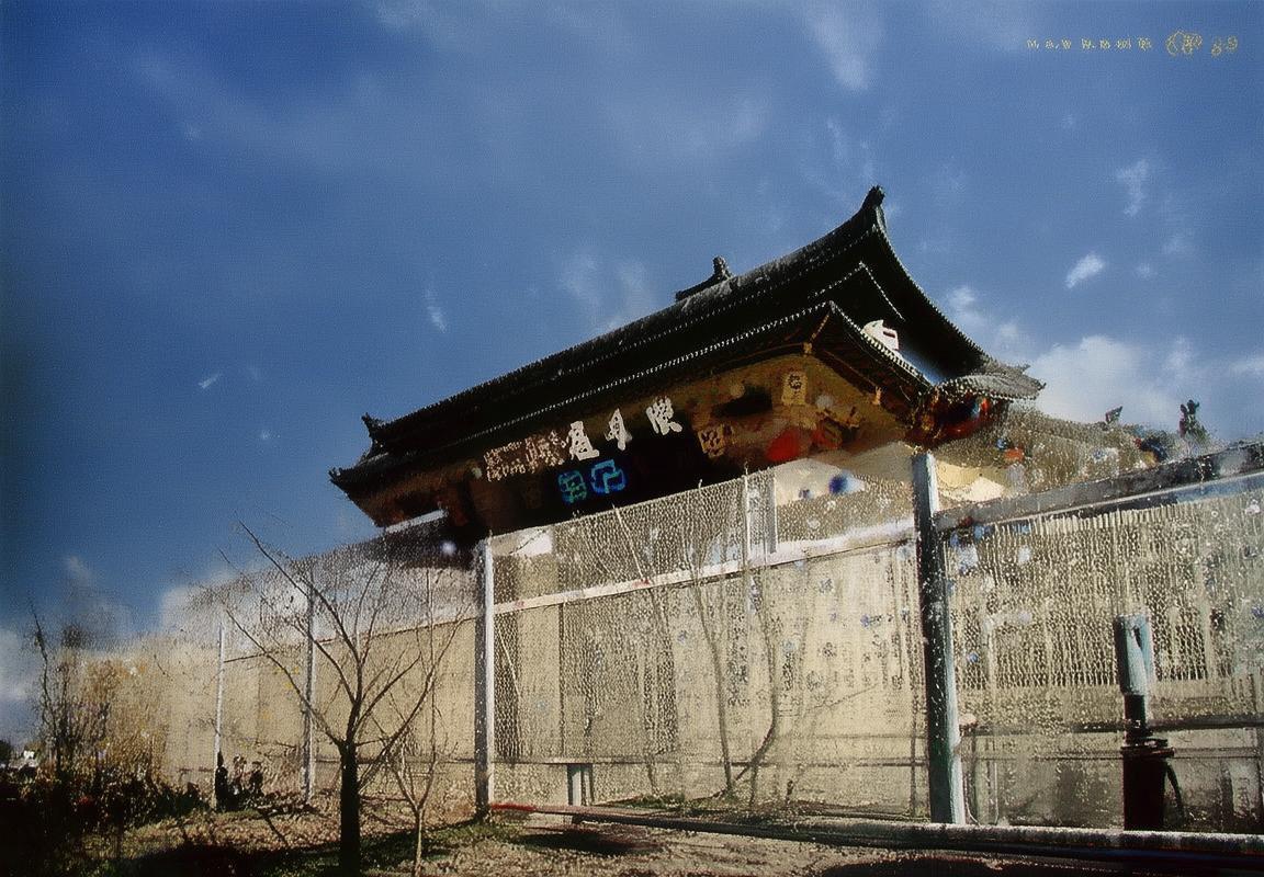 格雷米VS戈亚尼：巅峰对决全程回顾与赛后分析